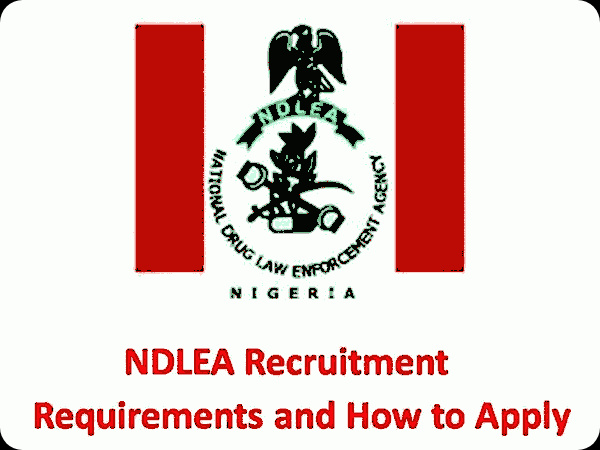 NDLEA Salary Structure And Ranks 2022 Infomademen